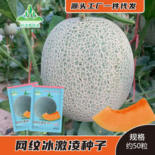 �W�y�������۹ϷN���½����ܹϷN�Ѻ�Ƥ��ψA���ͼt�ⳬ��ˮ���N