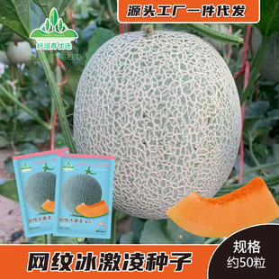 �W�y�������۹ϷN���½����ܹϷN�Ѻ�Ƥ��ψA���ͼt�ⳬ��ˮ���N