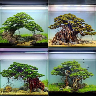 ���ľ�Ǽ�����N��֦�l�~���b��\�����������m���N����֦��׿��