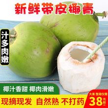 [正宗]海南椰青新鲜现摘奶香椰子纯天然椰汁带皮椰青6个装批发