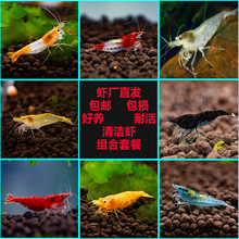 �坍ˮ���M���b��ɫ�ײ��~�׳��嵭ˮ�O��ѻ��^�p�r�rˮ�匙���r