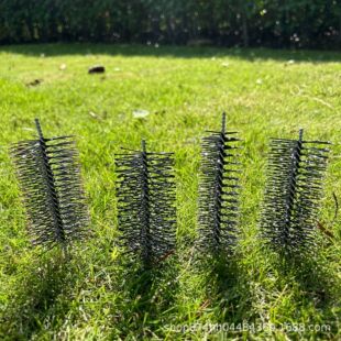 ����ë�z��ë�ӹ������z��ëȾ�^����������X���NҎ���ɫ����