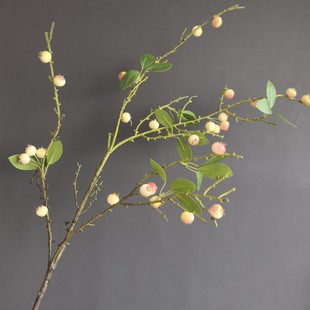 ���滨ʯ����{���{ݮ�� �Ҿӻ�c�}�Q�b[���͏d���P���ӹ���