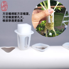 四排三层无土栽培设备家庭阳台种菜水培蔬菜水耕系统天台种菜机