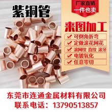 T2/C1100���~�� ���ڿ��Ĺ� ë���� ���~�P�� 늘O�~��  ���мӹ�