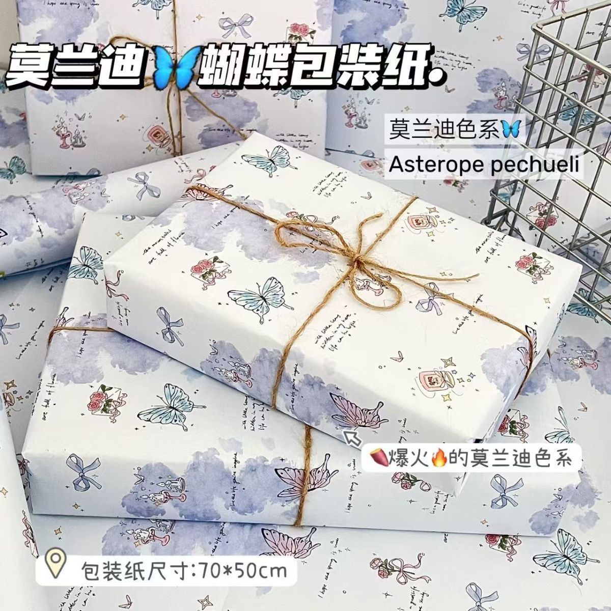 모란디 나비; 50*70 (6장 접기)