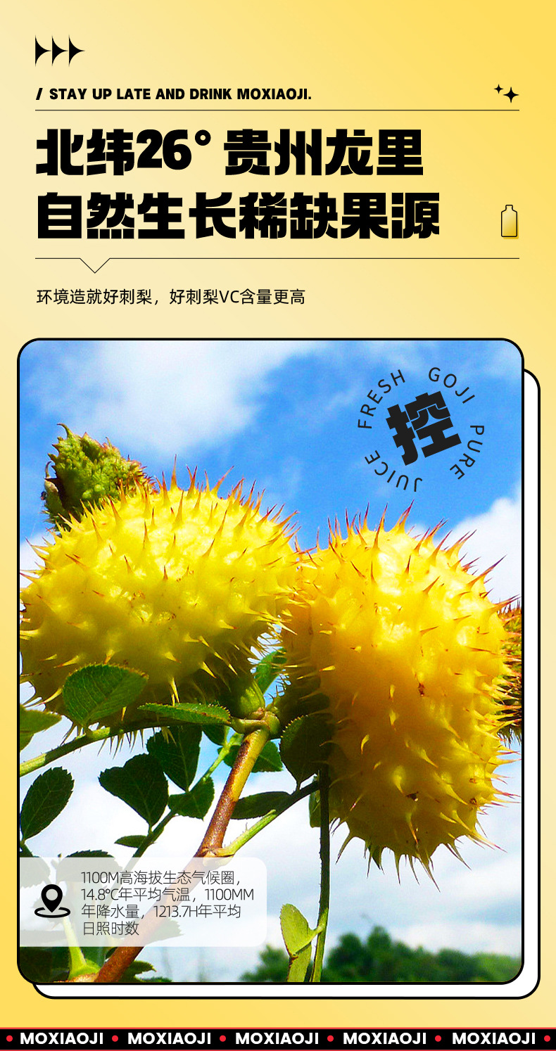 Rosa roxburghii Fruit Juice Concentrate 500ml Boxed Guizhou Cili Original Puree Drink quality and texture
