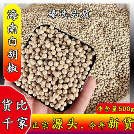 海南白胡椒散装干货现货批发白胡椒碎胡椒面调味料大料香料