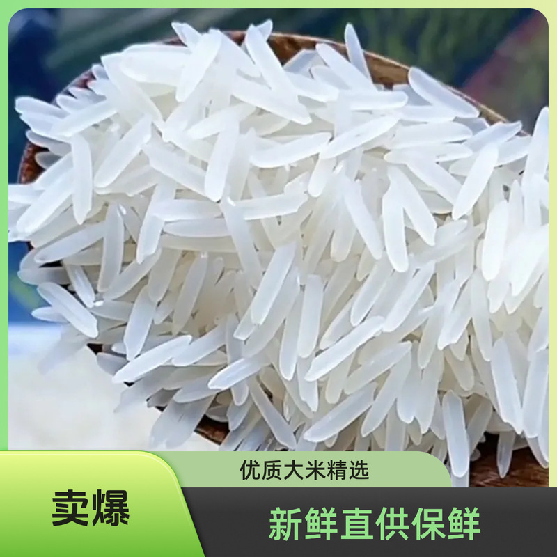 [Southern Rice] New Rice Farm Rice Fresh Fragrant Rice Silk Seedling Fragrant Rice Cat Tooth Rice Cooking Rice Fried Rice Fragrant Rice