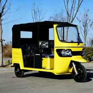 Fuel-powered tricycles for passenger transportation, foreign trade export, tuktuk, Southeast Asia, India, passenger-hauling operations, cross-border