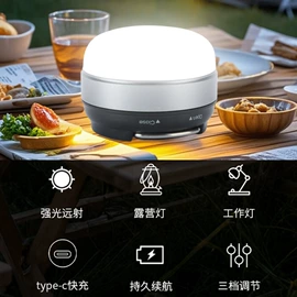 投光灯;野营/露营灯;架灯、支架式电筒