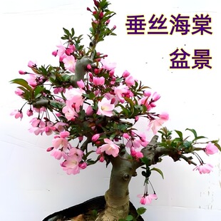 �ļ��B���Ļ����Դ��z���Ę����Ϙ��҃��̨ͥԺ�辰���ܾGֲ��