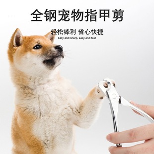 Pet Universal Nail Scissors, Cat Scissors, Dog Supplies, Nail Clippers, Stainless Steel Anti-Bloodline Crescent Scissors