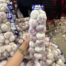 ɽ�|�ϰ�Ƥ2��󂀸����߲˶������^����r���{ζ��Ƥ�����