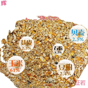 ������ι�u���l�a���u��σr�����µ��u�u�����uʳ���g���u���