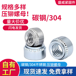 304���P䓉��T��ĸ ̼��T��ĸ�{�\�k���X���T��ñ