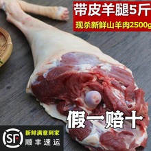 羊肉新鲜现杀手把羊肉5斤羊蝎子羊肋排手抓羊肉羊后腿肉冷冻火锅