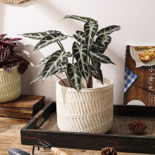 水泥花盆北欧ins简约个性复古室内阳台办公高档盆栽多肉田园