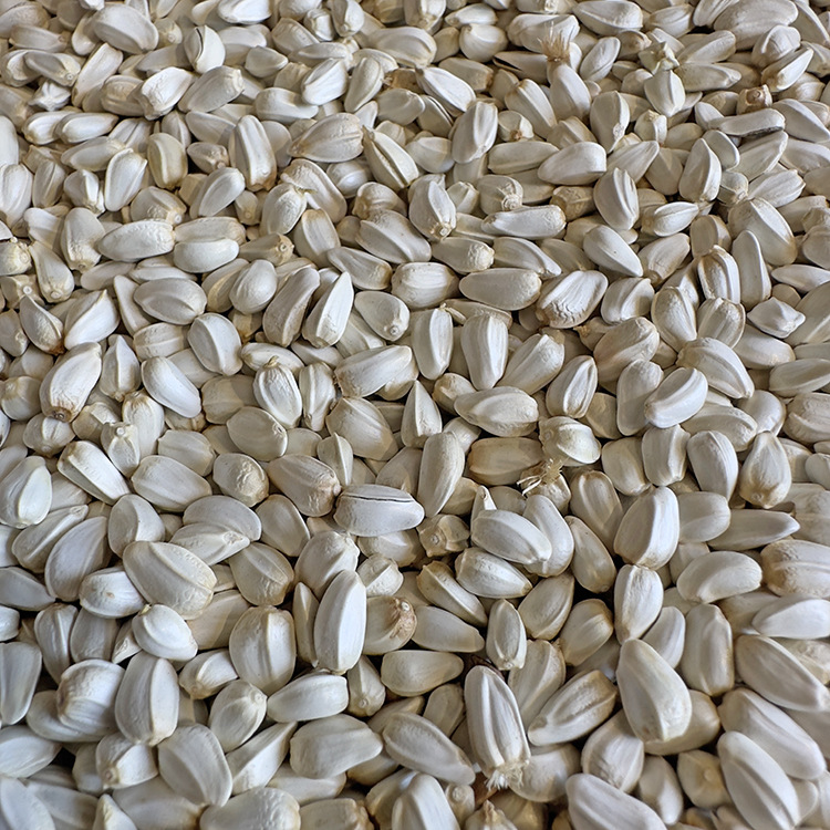 红花籽 红花子 仓鼠 鹦鹉 鸟食 鸟粮 鸽粮 批发新疆红花籽