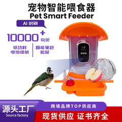 亚马逊爆款蜂鸟喂食器户外喂鸟器摄像头高清监控宠物智能喂食器