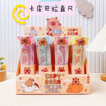 ��Ƥ����͸�����ӎ����˾���ֱͨ��С�W���๦��15cm���Ϝy������