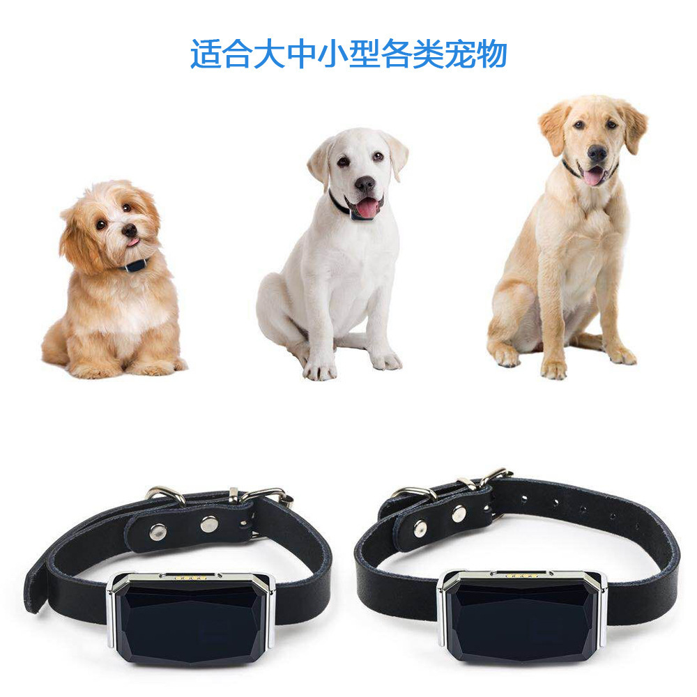 G12 New Gemstone Ip67 Waterproof Pet Gps Locator Dog Cat Cattle Sheep Hunting Dog Tracking Anti-Lost