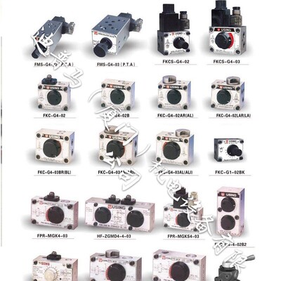 [台湾峰欣USING流量阀FMS-G4-03P FMS-G4-03T FMS-G4-03A FMS-G12]