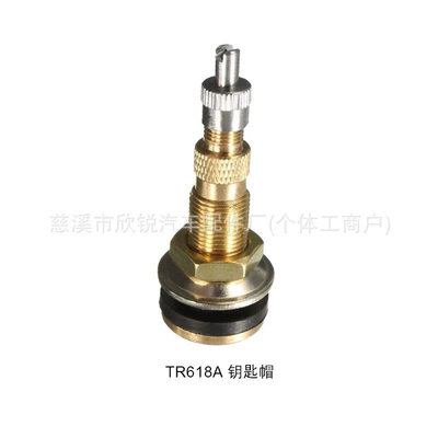 Tr618A Valve Engineering Vehicle Agricultural Vehicle Vacuum Tire Valve Loader Passenger Car Bus Inflator Valve Valve (valve) - tr618a-with-keycap