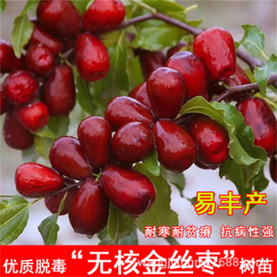 ��������Ϸ������Nֲ�޽ӹ����z��մ���󗗘䳬�𶬗�����Y��