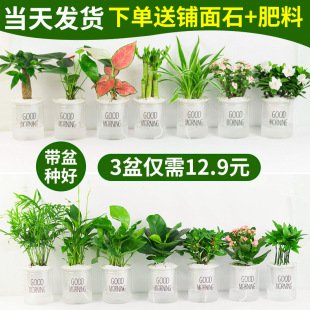 �Gֲ���Ի����҃Ⱥ��B�lؔ���k��������d�ӻ��G�}ˮ��Сֲ�����