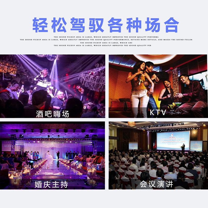 TMD/ wireless microphone one-to-two FM U-segment Bluetooth home singing microphone performance conference