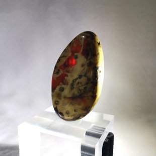 Bai Xiji Billion Years Pure Natural Honey Root Amber Genper Natural Amber Ornaments Holiday Gifts Classy Gifts