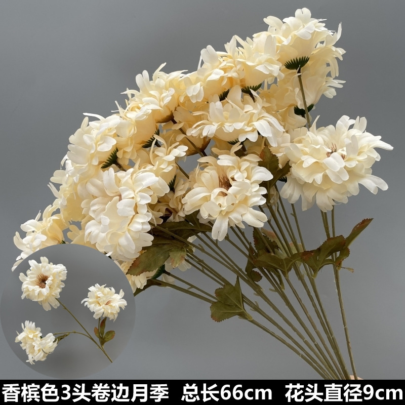 シャンパン色の結婚式の花の花の花の材料の結婚祝いの装飾の花の講堂の装飾の花のプラスチックの花の道は花の造花を導いています。|undefined
