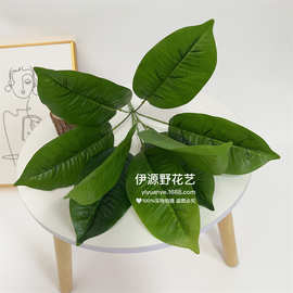 仿真绿植盆栽仿真玉兰叶把束植物墙装饰家居装饰摆件仿真树盆景