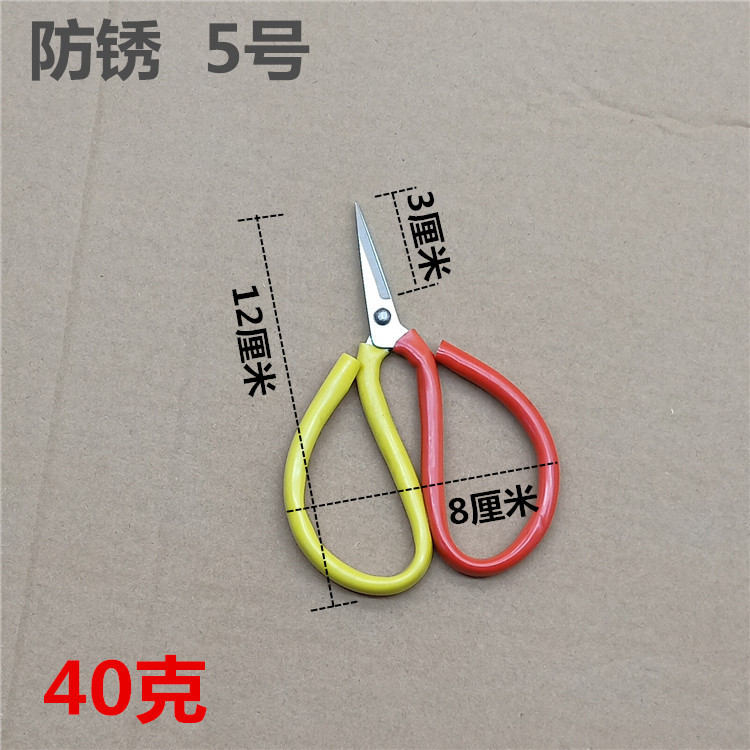 녹 No. 5
