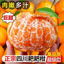 ����9��������ե֭����ٰҰҽ���ˮ��������1���l