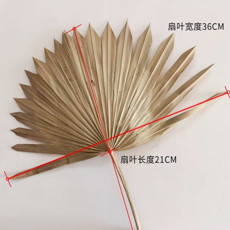 Pu fan hoja girasol fan hoja grande flor seca hoja de palma ventana vino fiesta arte colgante de pared decoración boda Arco de la boda diseño