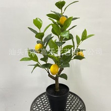 厂家批发家居客厅装饰仿真柠檬树葡萄树盆栽落地摆件仿真植物果树