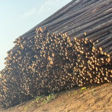 ɼľ�U�߉������o�@�־G��֧�ΗU�ӵ��o�̷���ľ�߉����o