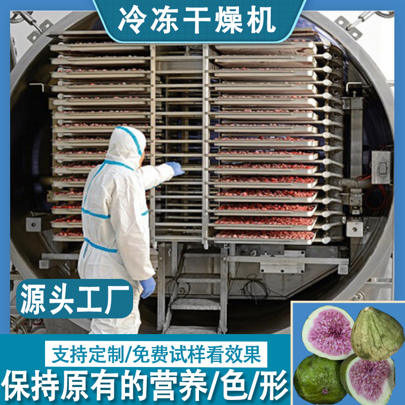 青柑真空冷冻干燥机 连续FD冻干无花果设备 草莓丁粒冻干机生产线