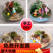 手工微景观DIY材料包玻璃瓶植物苔藓多肉DIY材料礼品活动整套套餐