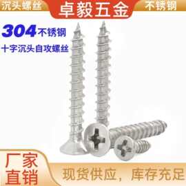 304不锈钢自攻螺丝十字沉头自攻丝 平头自攻木螺丝钉M2.3M3M5M6M8