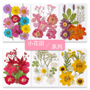 �����۸ɻ��������ϰ����lѺ����������~ֲ��˱��ֹ��NĘ�y