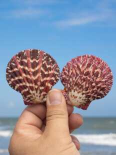 �˱������p��ؐ���ͮ���ؐ�p���~��ˮ���쾰��̨���N�b[��