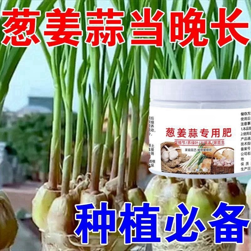 葱姜蒜专用肥通用型果蔬绿植小葱大葱复合肥颗粒缓释肥有机肥批发|undefined