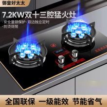 燃气灶双灶家用大火力台式嵌入式液化气煤气灶天然气亚马逊包邮