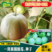 һ�Ѻ�Բ�ֹ����� ũ���԰���������Ҽ�������ɫ����ֹ���