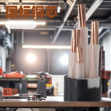 ����Ӳо��|���~о�͉�YJV YJV22 2о �z�b ��S Ʒ�Ʊ��C����