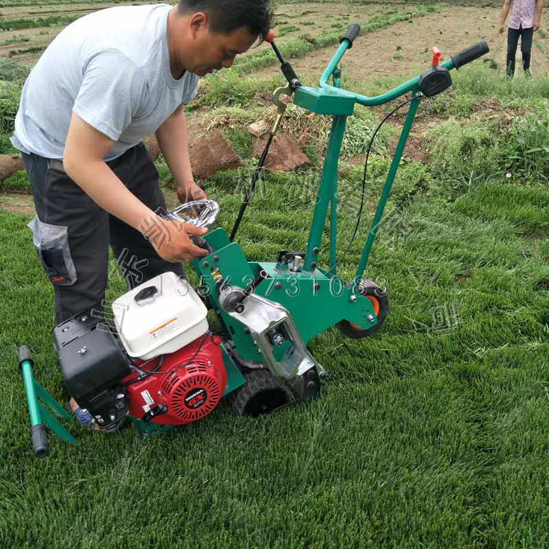 高羊茅草铲草机 内燃式起草皮机 装卸简单 工作移动方便