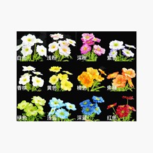 ������5�^ ��Yϵ�bY����̨ˇ·��c�廨�������ý���������